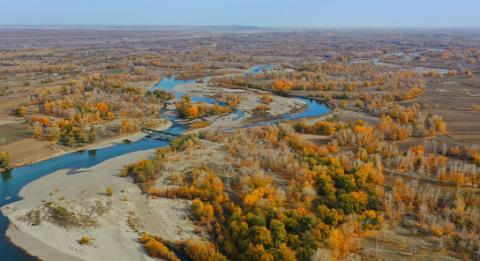 秋染额尔齐斯河